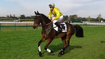 Les pronostics hippiques pour ce dimanche 22 mars